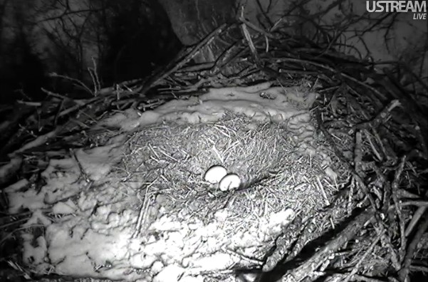 ScreenHunter_02 Feb. 21 07.43.jpg